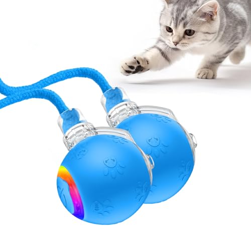 Interaktives Katzenspielzeug, 2025 Neu Katzenspielzeug Selbstbeschäftigung, Chewie Rolling Ball mit Vogelgesang LED 3 Modi Katzenball Elektrisch 360° Rolling Smart Ball für Katzen Hunde (Blau, 2) von FristSnow