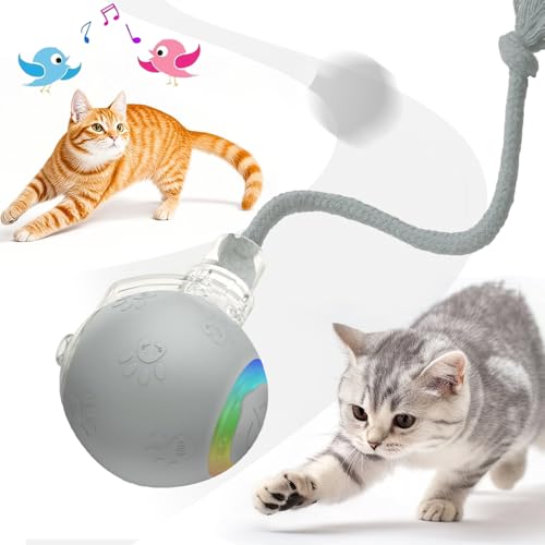 Interaktives Katzenspielzeug, 2025 Neu Katzenspielzeug Selbstbeschäftigung, Chewie Rolling Ball mit Vogelgesang LED 3 Modi Katzenball Elektrisch 360° Rolling Smart Ball für Katzen Hunde (Grau, 1) von FristSnow