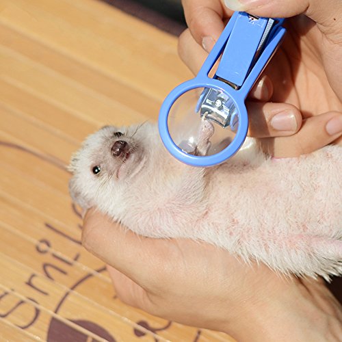 Frjjthchy Nagelknipser für Hamster, Igel, für kleine Tiere, mit Lupe (zufällige Farbe) von Frjjthchy