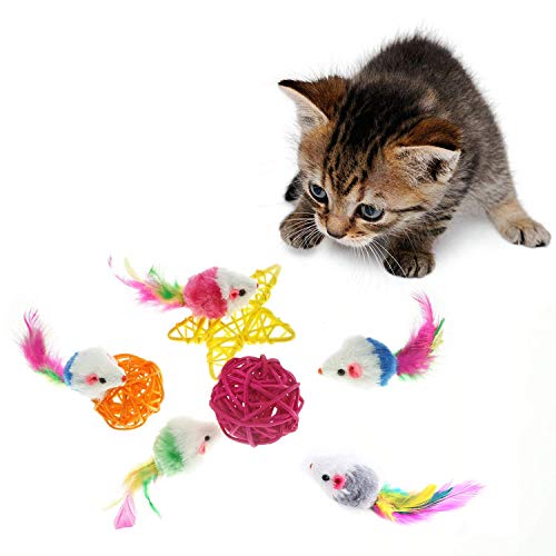 Frmarche Plüschspielzeug für Haustiere, Katzenspielzeug für Maus, 10 Stück (zufällige Farbauswahl) von Frmarche