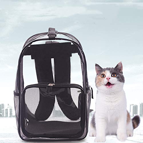 Frmarche Rucksack für Haustiere, Transport von Haustieren, 360 ° Sichtfeld, sicher, atmungsaktiv, blasenfrei, Rucksack für Katzen, Hunde und Kaninchen, Reisetasche von Frmarche
