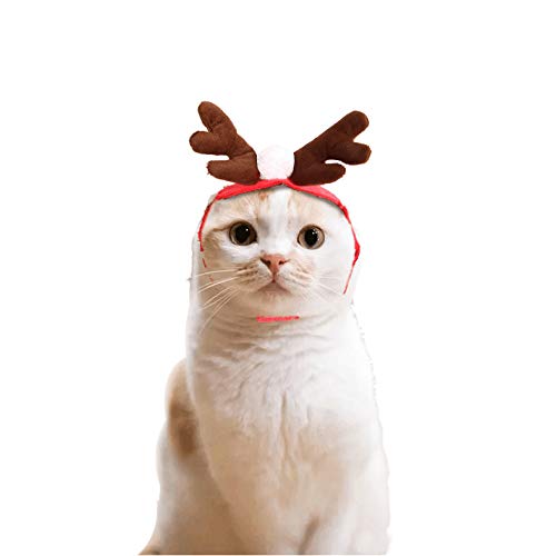 Frmarche Weihnachten Katze Hund Hut Weihnachten Halloween Fun Hut Urlaub Antler Stirnband Kostüm für Festival Cosplay Einheitsgröße (M) von Frmarche