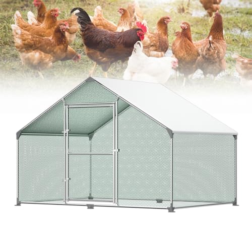 Froadp 3x2x2m Hühnerkäfig Außengehege Freilaufgehege Hühner Verzinkter Stahlrahmen mit PE Sonnenschutzdach und Schloss 6㎡Hühnerstall Hasenstall Geflügelhaltung Käfig Kleintiergehege Voliere Froadp 3x2x2m Hühnerkäfig Außengehege Freilaufgehege Hühner Verzinkter Stahlrahmen mit PE Sonnenschutzdach und Schloss 6㎡Hühnerstall Hasenstall Geflügelhaltung Käfig Kleintiergehege Voliere von Froadp
