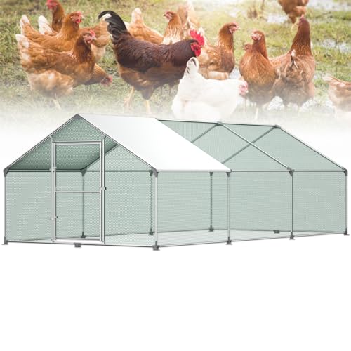Froadp 3x6x2m Hühnerkäfig Außengehege Freilaufgehege Hühner Verzinkter Stahlrahmen mit PE Sonnenschutzdach und Schloss 18㎡Hühnerstall Hasenstall Geflügelhaltung Käfig Kleintiergehege Voliere Froadp 3x6x2m Hühnerkäfig Außengehege Freilaufgehege Hühner Verzinkter Stahlrahmen mit PE Sonnenschutzdach und Schloss 18㎡Hühnerstall Hasenstall Geflügelhaltung Käfig Kleintiergehege Voliere von Froadp