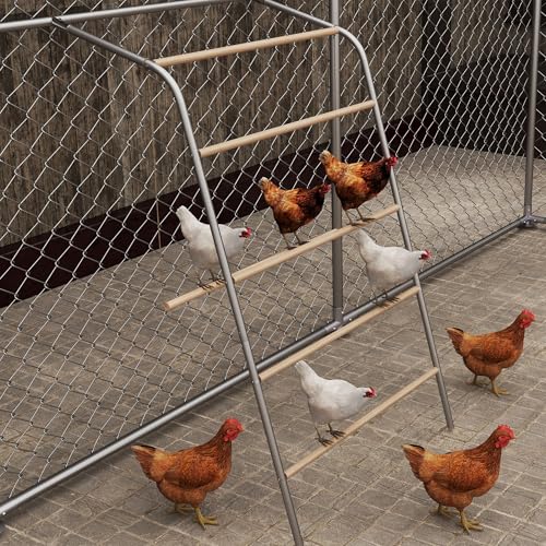 Froadp 5-Ebenen-Holz-Schaukel für Hühner mit Sitzstange - Hühnerleiter, Hühnerstange und Hühnerspielzeug, Hühner-Zubehör für Hühnerstall und Freilaufgehege Froadp 5-Ebenen-Holz-Schaukel für Hühner mit Sitzstange - Hühnerleiter, Hühnerstange und Hühnerspielzeug, Hühner-Zubehör für Hühnerstall und Freilaufgehege von Froadp