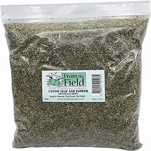Jumbo-Beutel mit Katzenminze, Blatt und Blumen, 266 ml, Grün von From The Field