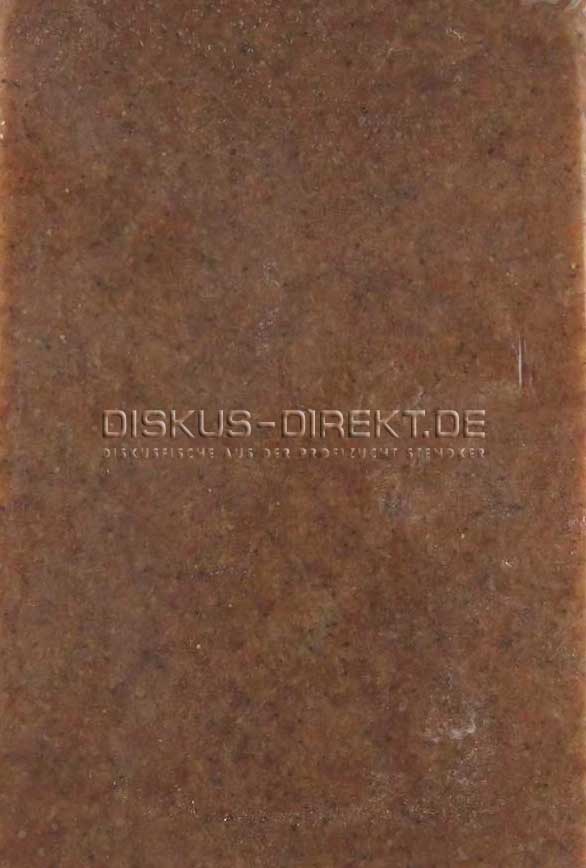 Artemia 500g-Flatpack von Frostfutter Lager M