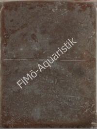 Bosmiden 1kg Flatpack von Frostfutter Lager M