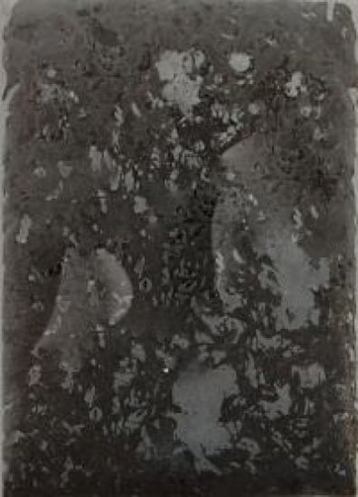 Mückenlarven rot, neutral verpackt BUDGET, 1 kg Flachtafel von Frostfutter Lager M