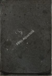 Mückenlarven schwarz, 500g Flatpack von Frostfutter Lager M