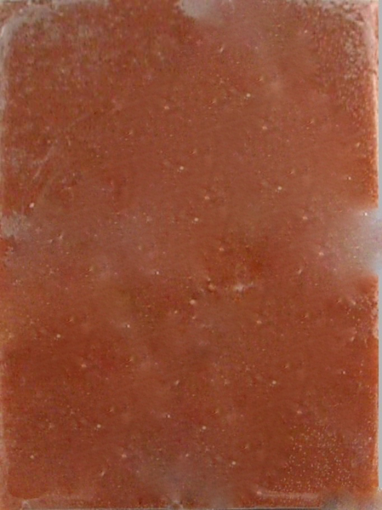 Plankton rot, 500g von Frostfutter Lager M