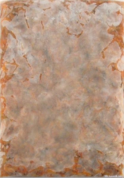 Sandgarnelen gekocht, 2-4cm, 500g von Frostfutter Lager M