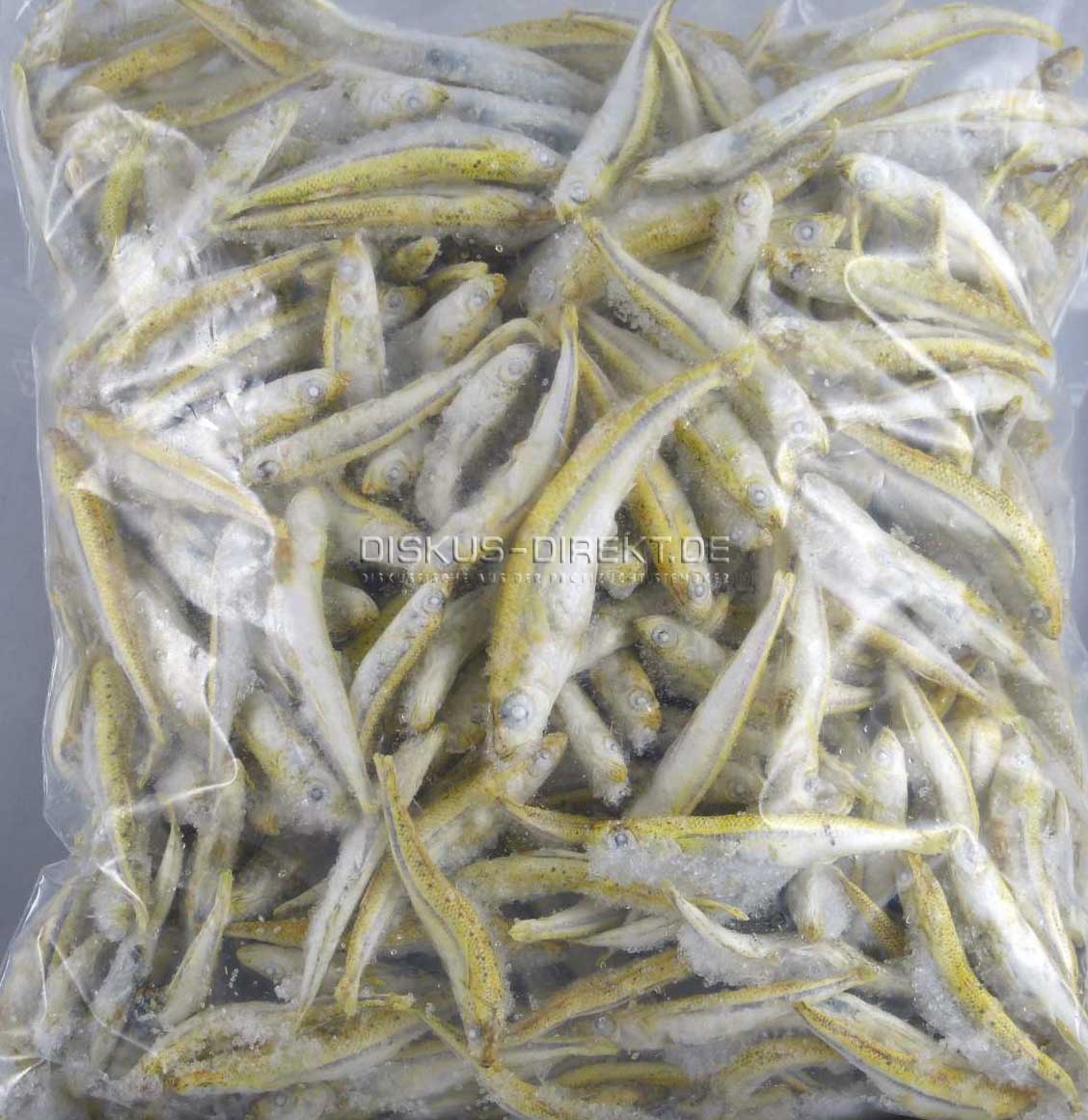 Stinte, kleine Fische, lose eingefroren, 500g von Frostfutter Lager M