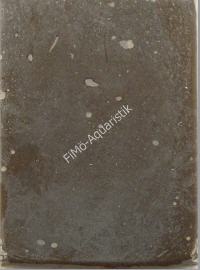 Wasserflöhe, Daphnien, 500g Flatpack von Frostfutter Lager M