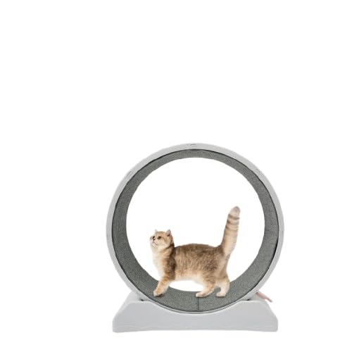 Katzenlaufrad, 80 x 35 x 85 cm Laufrad für Katzen mit Arretierung Katzenübungen Stabil und Geräuscharm, Hamsterrad für Katzen mit Reibungsloser Lauf Frei Katzenlaufrad, 80 x 35 x 85 cm Laufrad für Katzen mit Arretierung Katzenübungen Stabil und Geräuscharm, Hamsterrad für Katzen mit Reibungsloser Lauf Frei von Froulaland