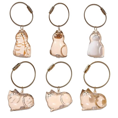 Frundoo Schlüsselanhänger mit Katzenhaar Aufbewahrungsflasche, 6 Pcs Katzenhaar-Schlüsselanhänger, Cat Hair Memorial Capsules Schlüsselbund, Transparente Katzenhaarspeicherbox, Tierhaar Anhänger von Frundoo