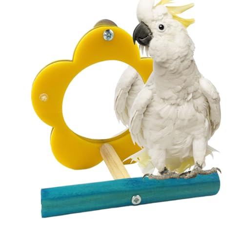 Bird Cage Mirror with Perch Interactive Cockatiel and Parakeet Toy Enrichment Stand & Chewing Accessory for Small Pet Birds, Stimulates Curiosity, 3.94x3.15x3.94 Inches von Fruusv