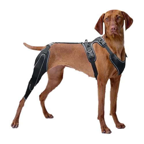 Fruusv Dog ACL Knee Brace, Adjustable Dog Back Leg Support, Dogs Back Leg Wrap, Canine Care CCL Support Brace for Medium and Large Dogs, Adjustable Back Leg Brace for Dogs, CCL Knee Brace for Dogs Fruusv Dog ACL Knee Brace, Adjustable Dog Back Leg Support, Dogs Back Leg Wrap, Canine Care CCL Support Brace for Medium and Large Dogs, Adjustable Back Leg Brace for Dogs, CCL Knee Brace for Dogs von Fruusv