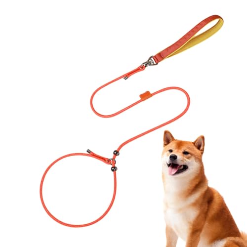 Fruusv Welpentrainingsleine – 150 cm verstellbares, ausbruchsicheres großes Hundegeschirr, ausbruchsicher, Welpen-Halsgeschirr, um 360 Grad drehbar Fruusv Welpentrainingsleine – 150 cm verstellbares, ausbruchsicheres großes Hundegeschirr, ausbruchsicher, Welpen-Halsgeschirr, um 360 Grad drehbar von Fruusv