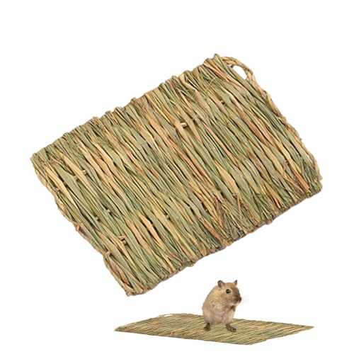 Grass Mat Cats, Natural Woven Chew Pad, Soft Resting, Multi Use Sleeping Bedding, Pet Friendly Toy, Ideal for Bunnies, Small Dogs, Play Area, Comfort, 11.02x15.75x0.39in von Fruusv
