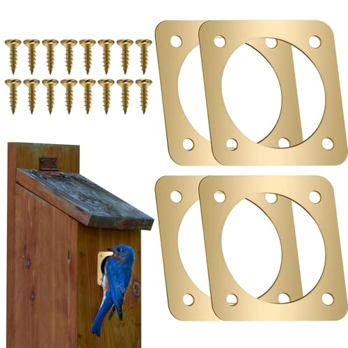 Hauslochschutz, Metall-Vogelhaus, Kupfer-Schutzplatte, 4 Stück, rostbeständiges Design, Homeguard Raubfisch für einfache Installation (3,8 cm/Messing), Bluebird Houses von Fruusv