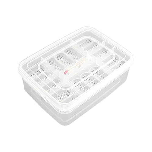 Transparenter Reptilien-Eier-Inkubator, Inkubationsbox Reptilieneier, Reptilien-Inkubations-Eierschalen | Klare Reptilien-Eier-Inkubator, Inkubationsbox und Schlüpfkoffer für Gecko, Eidechsen von Fruusv