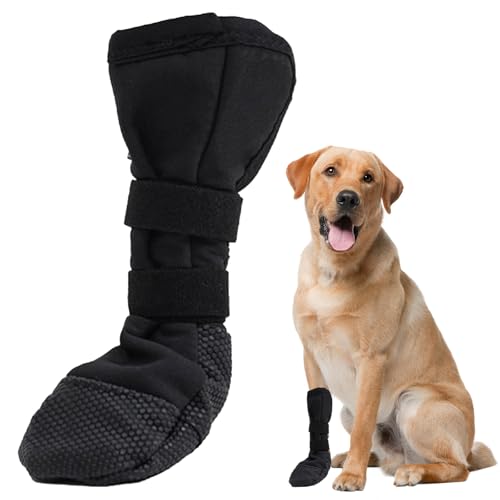 Fsahiuf Hundepfotenschutzsocken Für Den Heilungsschutz Nach Chirurgischen Eingriffen Fsahiuf Hundepfotenschutzsocken Für Den Heilungsschutz Nach Chirurgischen Eingriffen von Fsahiuf