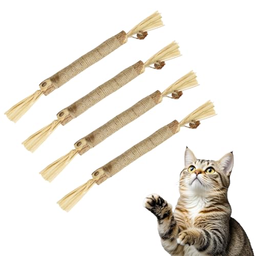 Fsahiuf Kätzchen Beißspielzeug Natürliche Katze Zähne Nip Reinigung Zähne Kauen Katzenminze Kauspielzeug,Katzen Zubehör für Zahnpflege & Gegen Mundgeruch von Fsahiuf