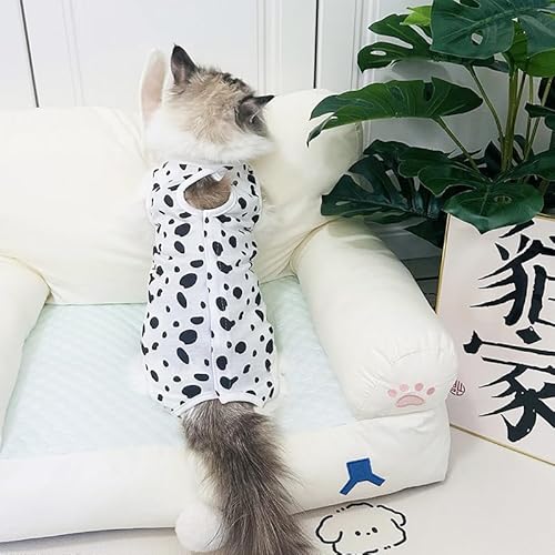 Fsahiuf Katzenbody nach OP Erholungsanzug Kleidung,Katzen-Erholungsanzug mit Punktemuster, OP-Schutzkleidung für Katzen, Weiß-Schwarz,M Fsahiuf Katzenbody nach OP Erholungsanzug Kleidung,Katzen-Erholungsanzug mit Punktemuster, OP-Schutzkleidung für Katzen, Weiß-Schwarz,M von Fsahiuf
