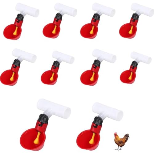 Hühnerwasserbecher, Automatische Huhn Trinkbrunnen, 10 Stück automatische Hühnerwasserbecher Trinker 1/2 Zoll Tee Geflügel Henne Fütterungswerkzeuge für Vogel Wachtel Taube Huhn Hühnerwasserbecher, Automatische Huhn Trinkbrunnen, 10 Stück automatische Hühnerwasserbecher Trinker 1/2 Zoll Tee Geflügel Henne Fütterungswerkzeuge für Vogel Wachtel Taube Huhn von Ftory