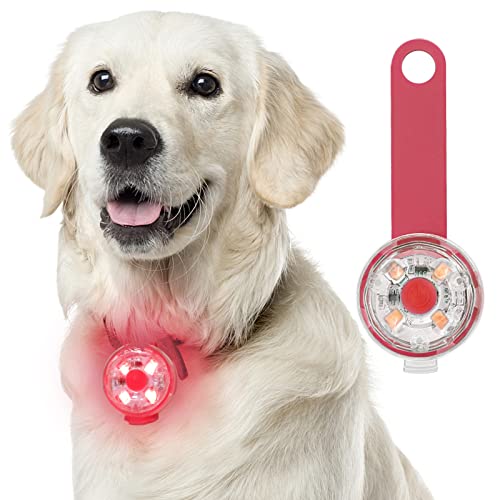Fttouuy Sicherheits LED Blinklicht für Hunde, Katzen - USB Wiederaufladbar LED Licht Leuchtanhänger Hund, 3 Blinkmodis wasserdichte Sicherheit Haustier Lichter von Fttouuy
