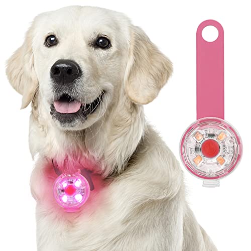 Fttouuy Sicherheits LED Blinklicht für Hunde, Katzen - USB Wiederaufladbar LED Licht Leuchtanhänger Hund, 3 Blinkmodis wasserdichte Sicherheit Haustier Lichter von Fttouuy