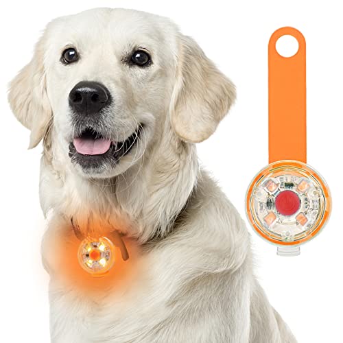 Fttouuy Sicherheits LED Blinklicht für Hunde, Katzen - USB Wiederaufladbar LED Licht Leuchtanhänger Hund, 3 Blinkmodis wasserdichte Sicherheit Haustier Lichter von Fttouuy