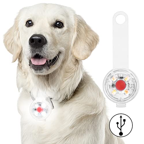 Fttouuy Sicherheits LED Blinklicht für Hunde, Katzen - USB Wiederaufladbar LED Licht Leuchtanhänger Hund, 3 Blinkmodis wasserdichte Sicherheit Haustier Lichter Fttouuy Sicherheits LED Blinklicht für Hunde, Katzen - USB Wiederaufladbar LED Licht Leuchtanhänger Hund, 3 Blinkmodis wasserdichte Sicherheit Haustier Lichter von Fttouuy