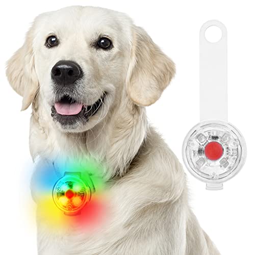 Fttouuy Sicherheits LED Blinklicht für Hunde, Katzen - USB Wiederaufladbar LED Licht Leuchtanhänger Hund, wasserdichte Sicherheit Haustier Lichter(Bunt) von Fttouuy