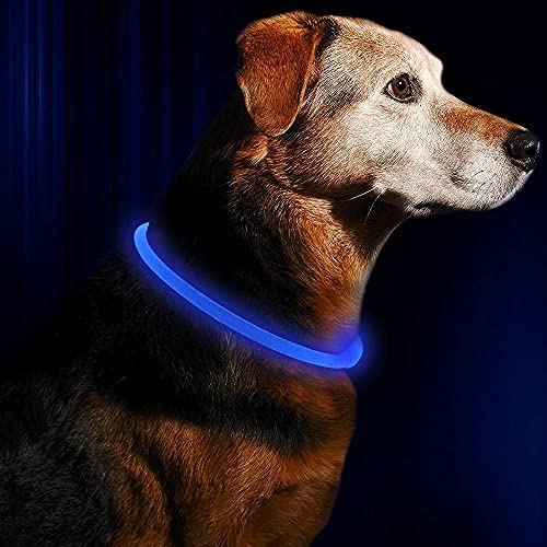 Fttouuy LED Leuchthalsband Hunde Halsband USB wiederaufladbar - Längenverstellbarer Haustier Sicherheit Kragen für Hunde und Katzen - 3 Modus (Blau) von Fttouuy