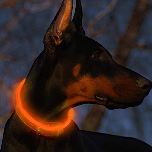 LED Leuchthalsband Hunde Halsband USB wiederaufladbar - Längenverstellbarer Haustier Sicherheit Kragen für Hunde und Katzen - 3 Modus (Orange) von Fttouuy