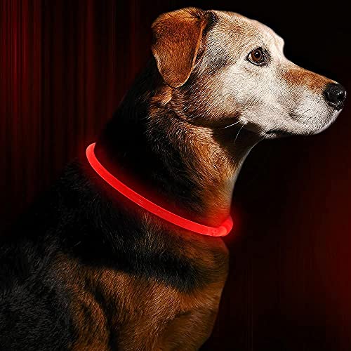 Fttouuy LED Leuchthalsband Hunde Halsband USB wiederaufladbar - Längenverstellbarer Haustier Sicherheit Kragen für Hunde und Katzen - 3 Modus (Rot) von Fttouuy
