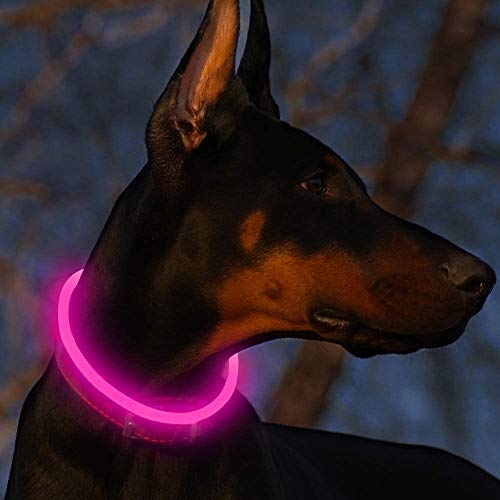 LED Leuchthalsband Hunde Halsband USB wiederaufladbar - Längenverstellbarer Haustier Sicherheit Kragen für Hunde und Katzen - 3 Modus von Fttouuy