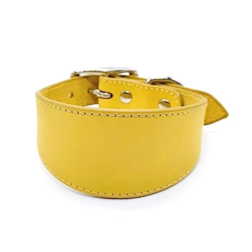 Verstellbares Hundehalsband, langlebig, breites Halsband, Leder, für große Hunde, italienische Windhunde, Haustierbedarf Verstellbares Hundehalsband, langlebig, breites Halsband, Leder, für große Hunde, italienische Windhunde, Haustierbedarf von FuBESk