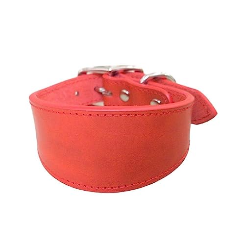 Verstellbares Hundehalsband, langlebig, breites Halsband, Leder, für große Hunde, italienische Windhunde, Haustierbedarf Verstellbares Hundehalsband, langlebig, breites Halsband, Leder, für große Hunde, italienische Windhunde, Haustierbedarf von FuBESk