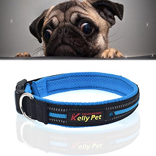 Haustier Haustier Hund Polyester reflektierenden atmungsaktiv Anti-verlorene Marke Hundehalsband Traktion Blei Seil, Größe: M, 2,5 * 42 * 47cm (Color : Blue) von FuQingShiLongShanYuHuaShiPinDian