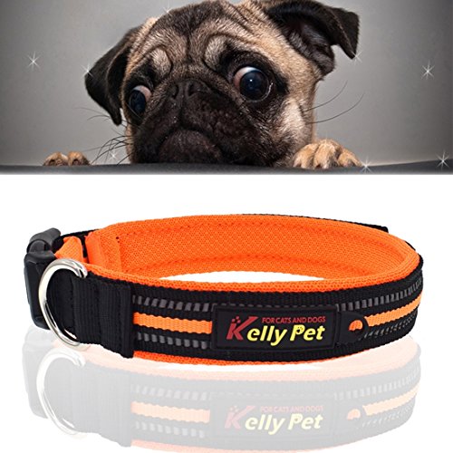 Haustier Haustier Hund Polyester reflektierenden atmungsaktiv Anti-verlorene Marke Hundehalsband Traktion Blei Seil, Größe: M, 2,5 * 42 * 47cm (Color : Orange) von FuQingShiLongShanYuHuaShiPinDian
