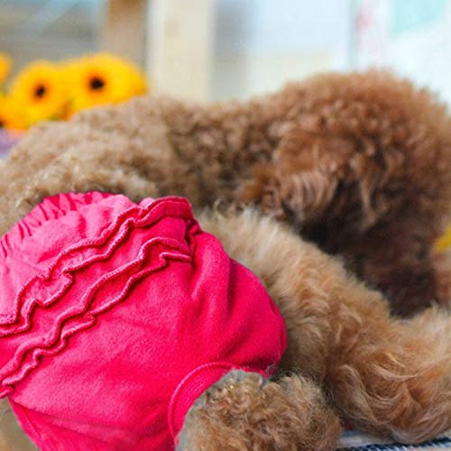 Haustier Hund Unterwäsche weich und bequem Baumwolle weiblichen Haustier Damenhosen Welpen physiologische Hosen Größe Hund Windeln, Größe: M (blau) (Color : Rose Red) von FuQingShiLongShanYuHuaShiPinDian