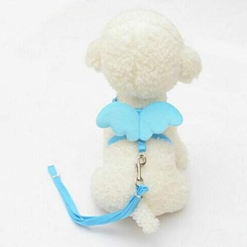 Haustier Netter Engel Haustier-Hundeleine und Halsband Set Kitten Puppy Blei Flügel Gürtel Einstellbare Hundegeschirr Tierzubehör, Größe: M (rot) (Color : Blue) von FuQingShiLongShanYuHuaShiPinDian