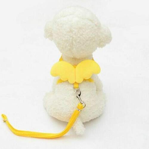 Haustier Netter Engel Haustier-Hundeleine und Halsband Set Kitten Puppy Blei Flügel Gürtel Einstellbare Hundegeschirr Tierzubehör, Größe: M (rot) (Color : Yellow) von FuQingShiLongShanYuHuaShiPinDian