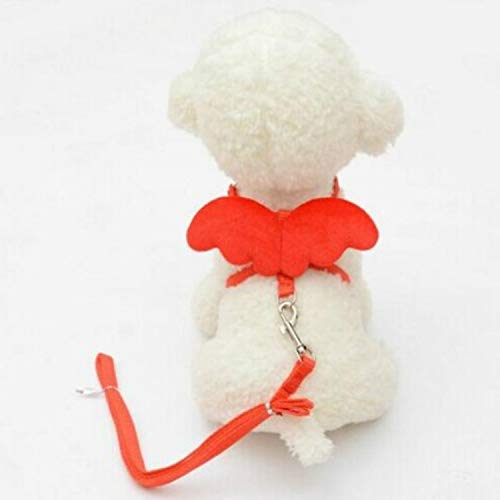 Haustier Netter Engel Haustier-Hundeleine und Halsband Set Kitten Puppy Blei Flügel Gürtel Einstellbare Hundegeschirr Tierzubehör, Größe: XS (rot) (Color : Red) von FuQingShiLongShanYuHuaShiPinDian
