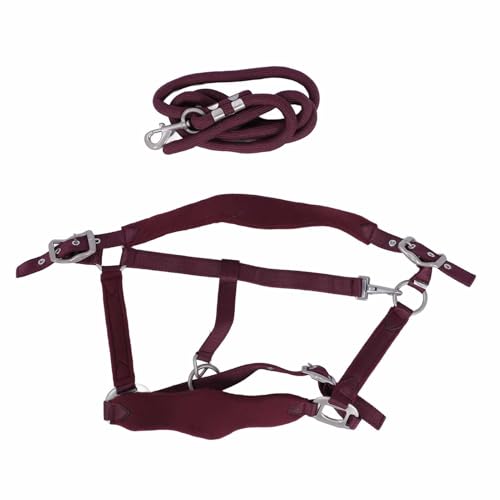 Horse Halter Set Prevent Rubbing Adjustable Horse Training Halter with 2m Horse Leash for Training Daily (L 1500ML) von Fuchooky