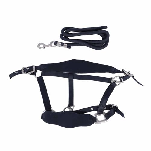 Horse Halter Set Prevent Rubbing Adjustable Horse Training Halter with 2m Horse Leash for Training Daily (S 1200ML) von Fuchooky