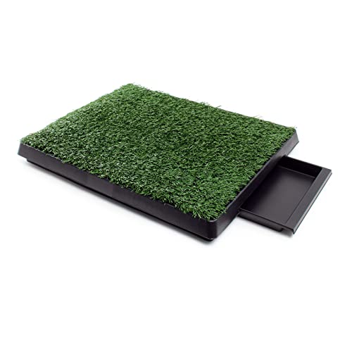 Fudajo Welpen Hundetoilette mit Gras 63x51cm – Hundeklo mit Kunstrasen als Trainingsunterlage für Welpen und Hunde von Fudajo